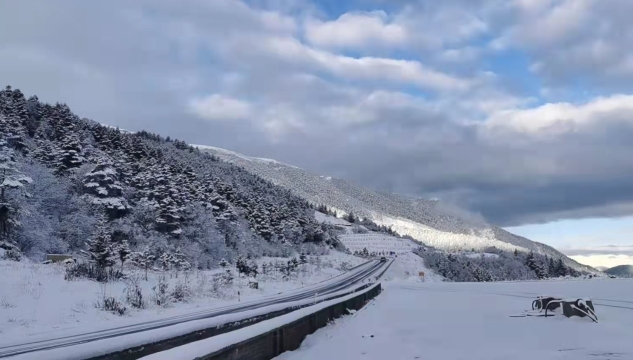 過往白馬雪山的駕駛員，請攜帶防滑鏈