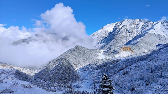 白馬雪山下雪了 畫風雖冷畫面卻美翻了！