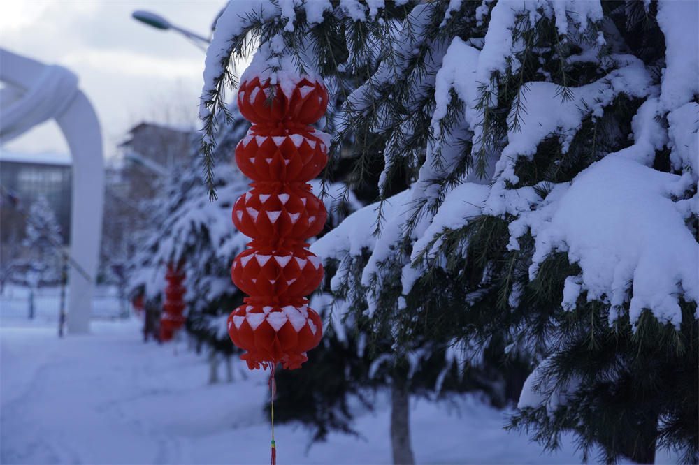 【網(wǎng)絡(luò)中國節(jié)?春節(jié)】瑞雪兆豐年！迪慶下雪了！