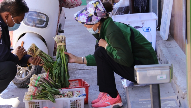 @吃貨們！香格里拉野菜上市了！快來嘗鮮