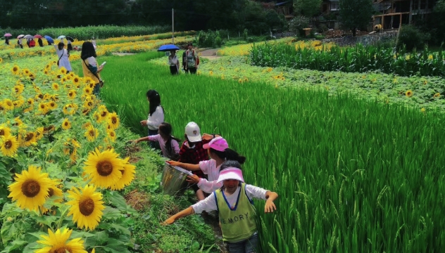 迪慶人民“就地過節(jié)”在家門口擁抱“詩和遠(yuǎn)方”