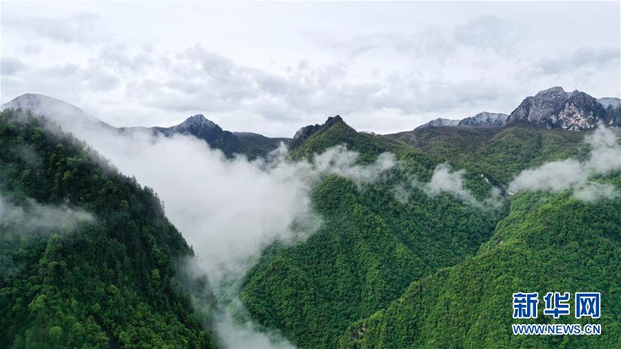 （美麗中國）（3）甘肅舟曲：云霧飄渺 岷山如畫